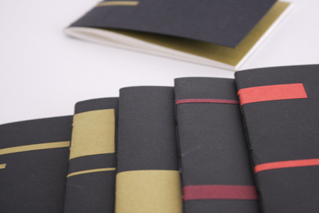 carnets-lignés-suite